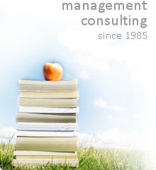 management consulting and training